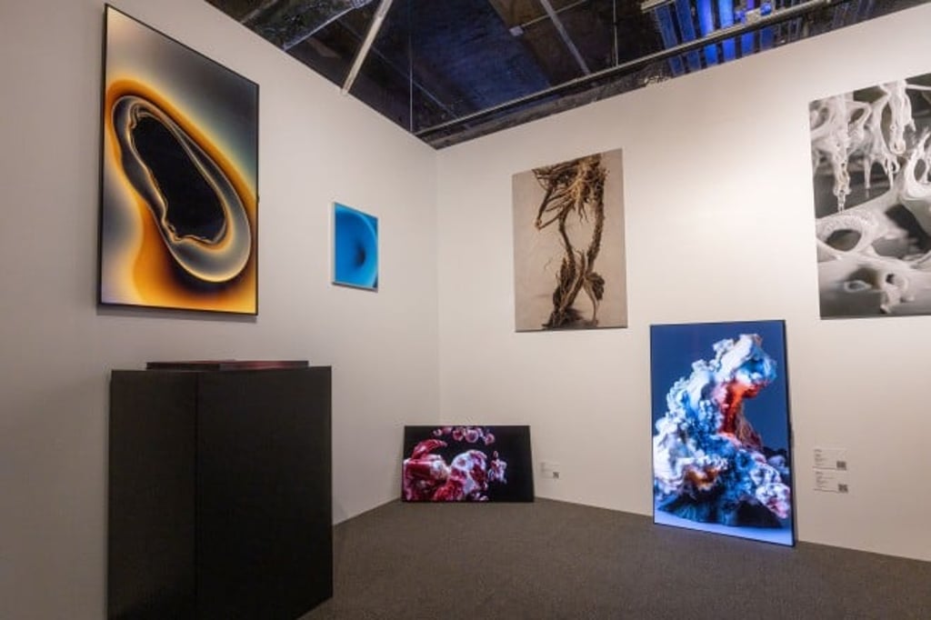 Amos Fricke’s “Sacred Hole” (top left) and Anders Brasch-Willumsen’s Aikebana” (bottom right) demonstrate the infinite levels of perfect black and vibrant colours produced by LG OLED screens.
