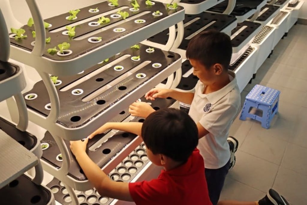 Upper Primary Hydroponic Farm