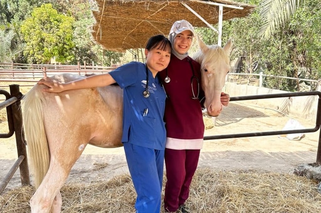 Monica (left) takes a two-week trip to Egypt this summer for clinical extramural studies at an equine hospital. Monica (left) takes a two-week trip to Egypt this summer for clinical extramural studies at an equine hospital.