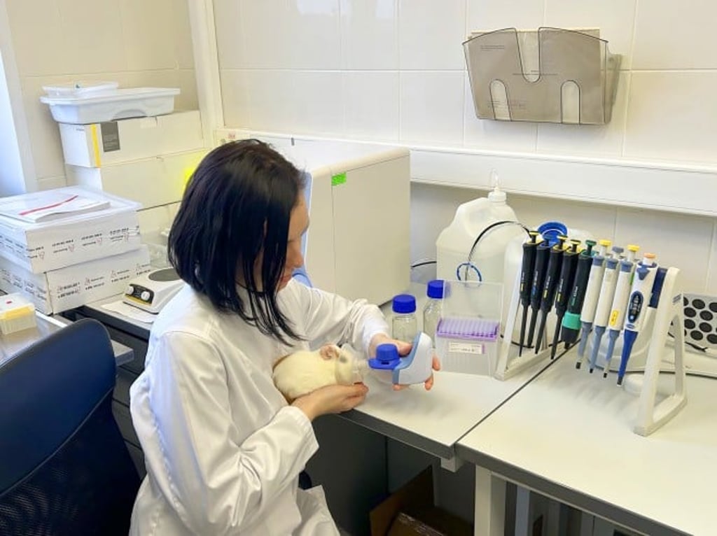 Scientist investigated the effects of BA on pulmonary fibrosis using an animal model.