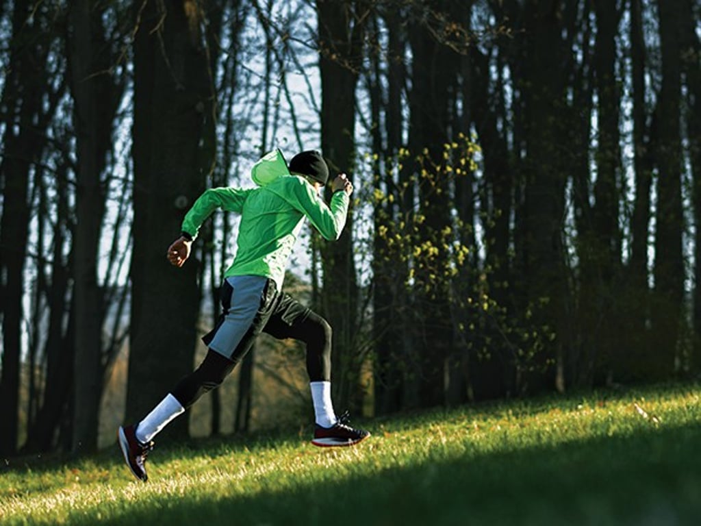 Sustainability and Energy Efficiency