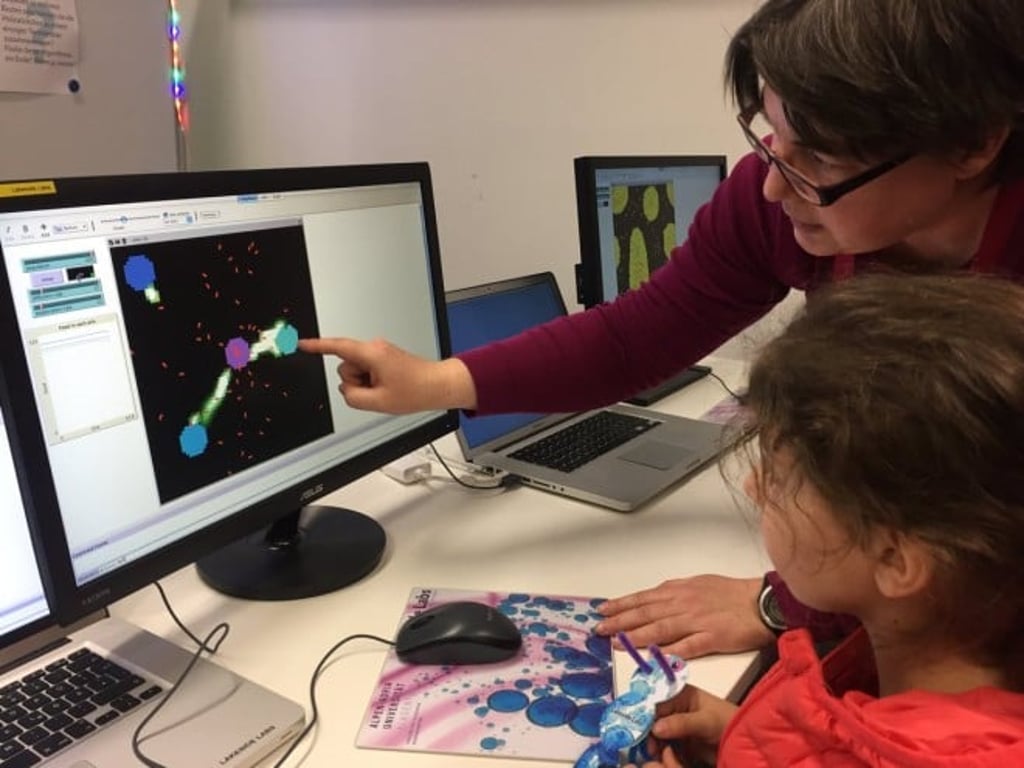 A young student works with her teacher on a NetLogo model, which shows how ants collectively gather food. (Photo: NetLogo) A young student works with her teacher on a NetLogo model, which shows how ants collectively gather food. (Photo: NetLogo)
