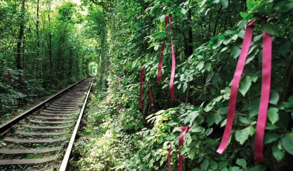 Ribbons for making wishes adorn the Tunnel of Love. Ribbons for making wishes adorn the Tunnel of Love.