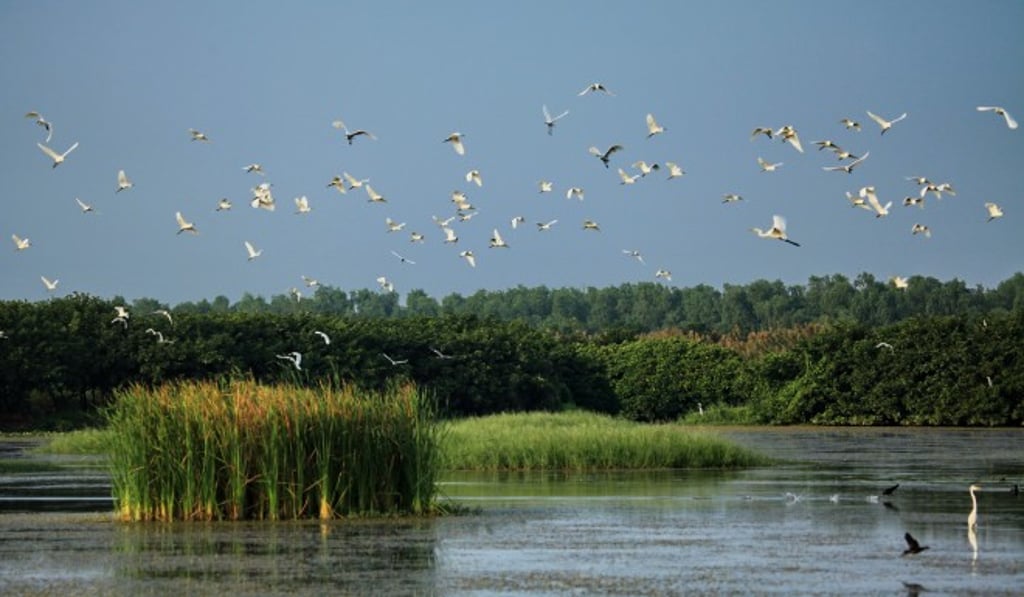 Investments that the government is making in infrastructure and transportation allow for the best to base Nansha. What we found is that all of our guests have been incredibly impressed with Nansha today for its prospects in tech and innovation), according to KC Sullivan, President and Managing Director at CNBC International. Investments that the government is making in infrastructure and transportation allow for the best to base Nansha. What we found is that all of our guests have been incredibly impressed with Nansha today for its prospects in tech and innovation), according to KC Sullivan, President and Managing Director at CNBC International.