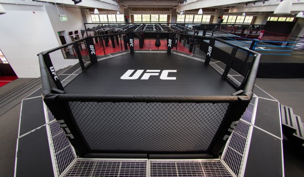 Another view of one of the training cages on offer.