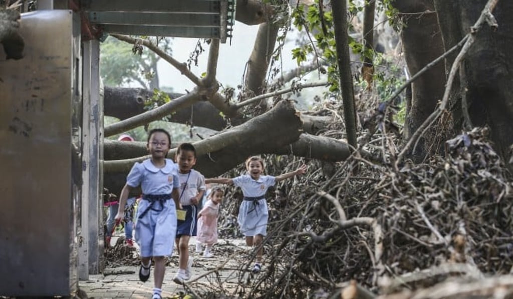 The aftermath of Typhoon Mangkhut is seen in Sheung Shui, in the northern New Territories, after it struck Hong Kong in September 2018. Photo: Sam Tsang The aftermath of Typhoon Mangkhut is seen in Sheung Shui, in the northern New Territories, after it struck Hong Kong in September 2018. Photo: Sam Tsang