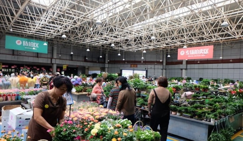 Dounan Flower Market in suburban Kunming in Yunnan province. Photo: Laura Zhou