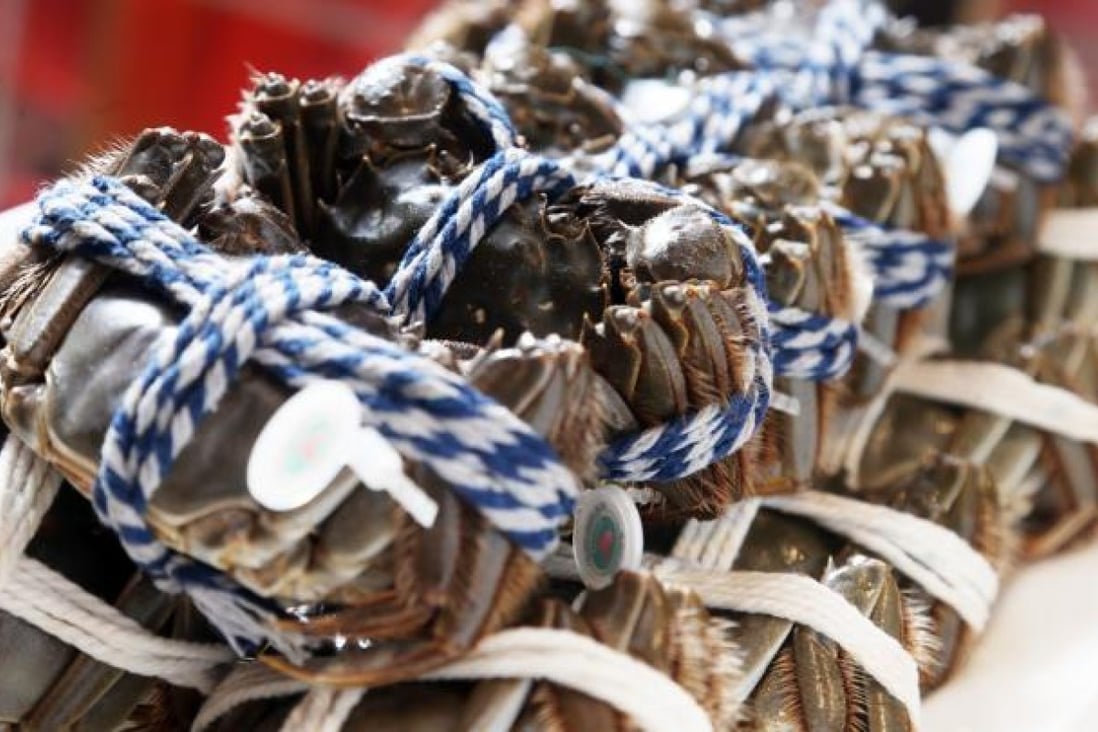 Hairy crabs