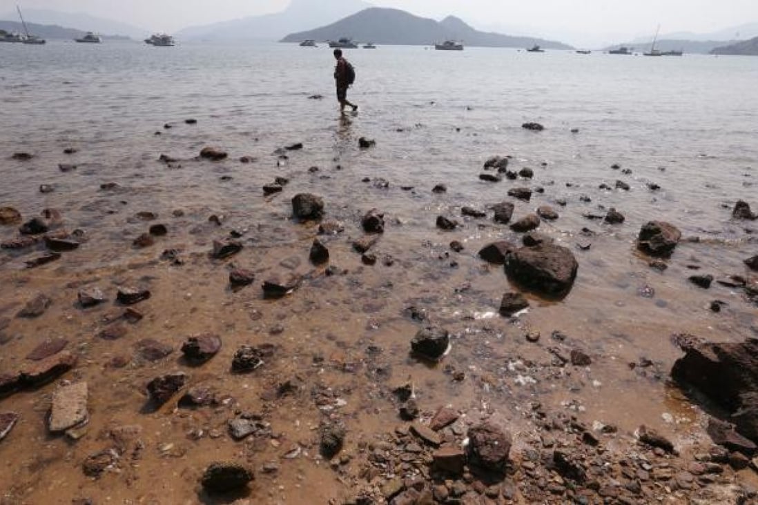People explore marine life at Lung Mei Beach, Tai Mei Tuk, Tai Po, where the construction of an artificial beach has been proposed.