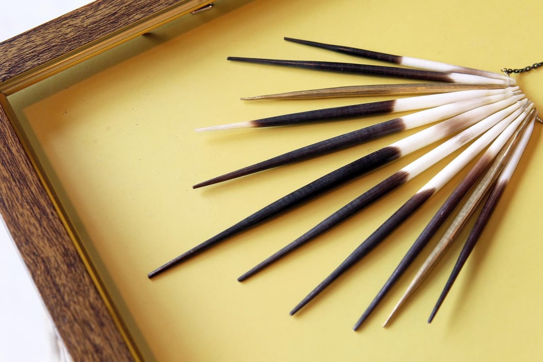 Scientists study porcupine quills to improve medical needles South