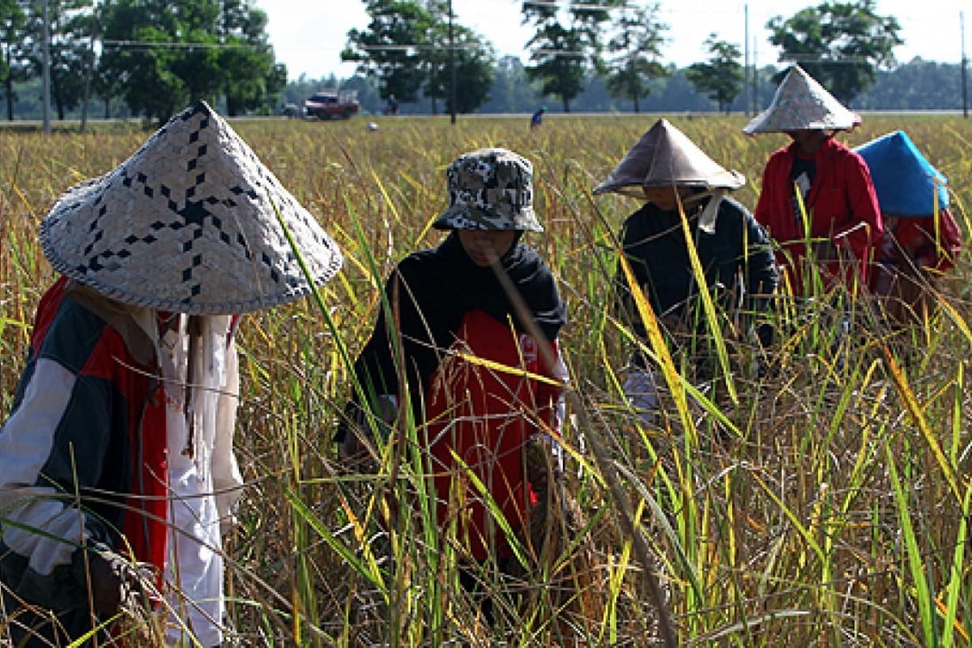Thailand loses rank of 'world’s top rice exporter' South China Morning Post