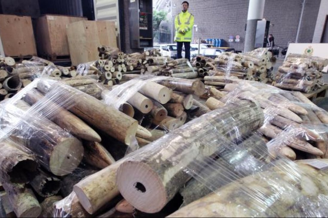 Security fears over seized-ivory stockpile | South China Morning Post