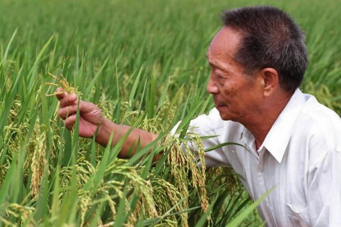 Agricultural scientist Yuan Longping. Photo: Xinhua