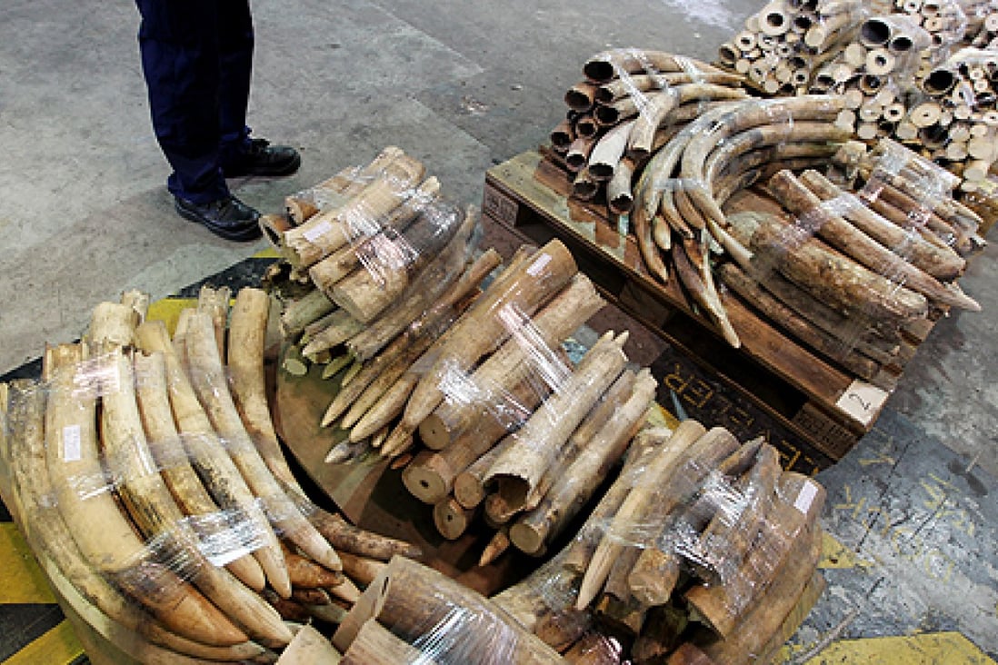 Hong Kong seizes 113 smuggled ivory tusks worth HK3m South China