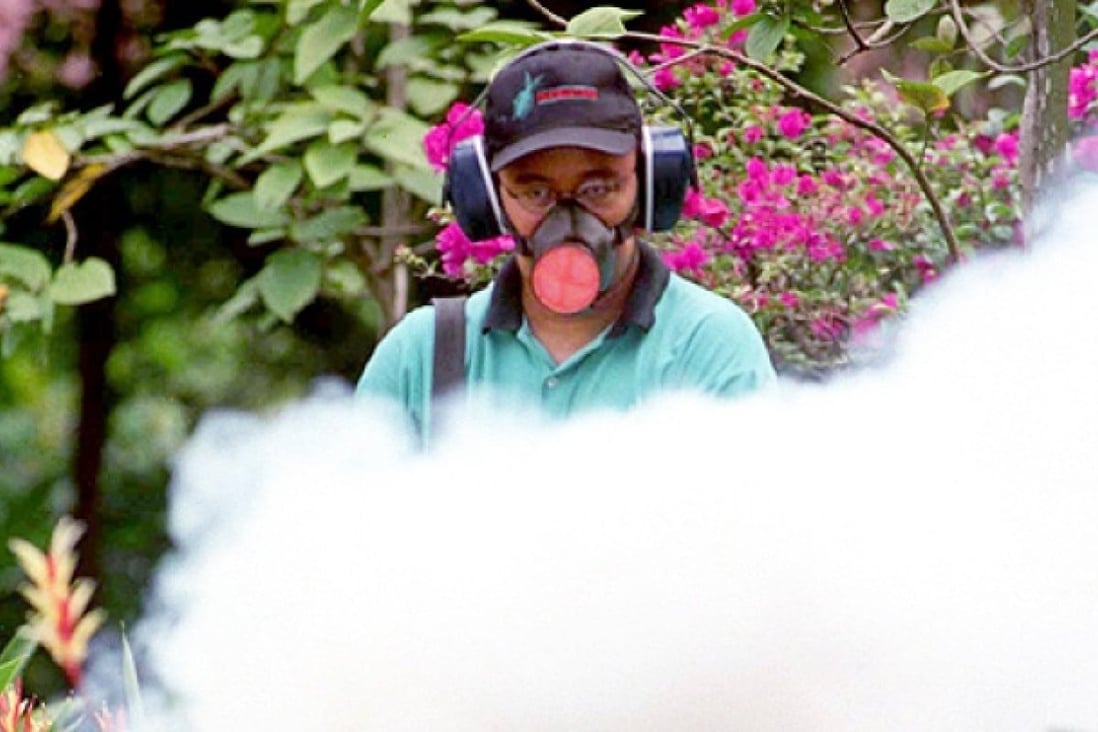 Singapore braces for worst dengue epidemic South China Morning Post