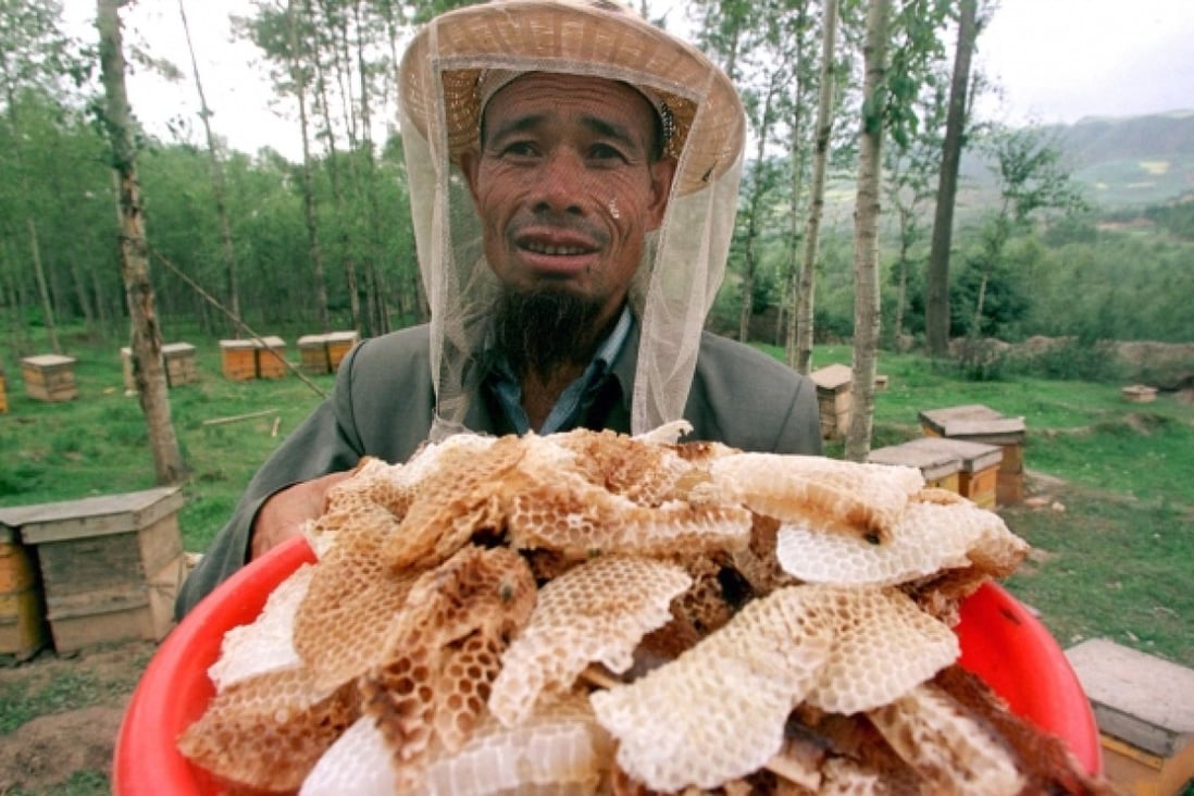 Bee-keeper Ma Fuhai seen in a file photo harvesting real honey in the Qinghai Lake area. Photo: Reuters
