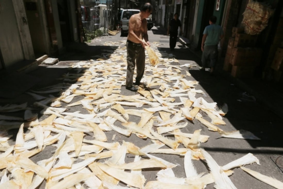 A worker arranging shark fins at Chung Ching Street in Sheung Wan. Photo: SCMP