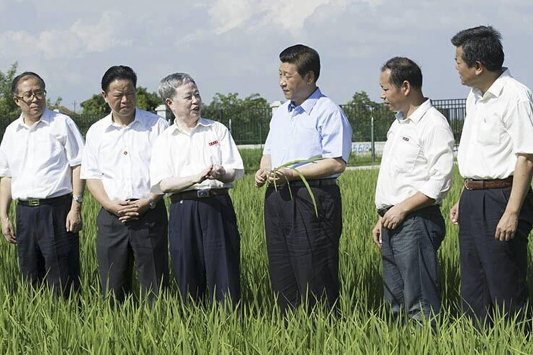 Xi Jinping tours a farm in Hubei yesterday. Photo: SCMP