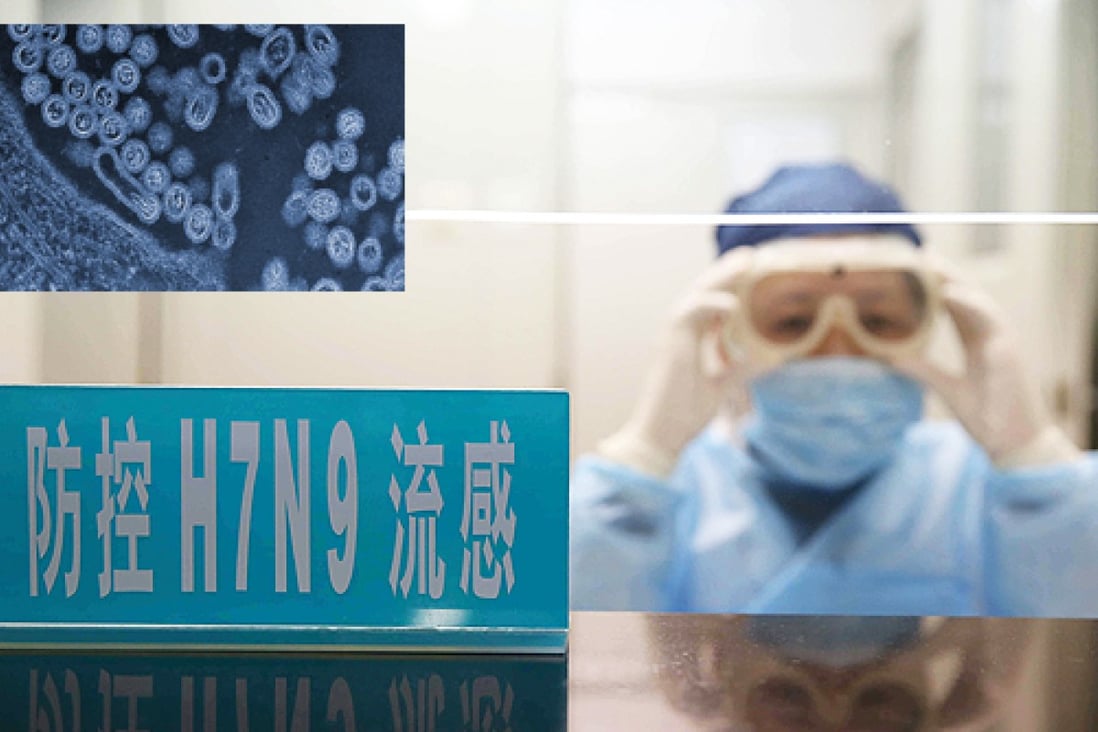 The H7N9 virus was first identified in eastern China, with the first known human case reported in March. Photos: EPA, AP