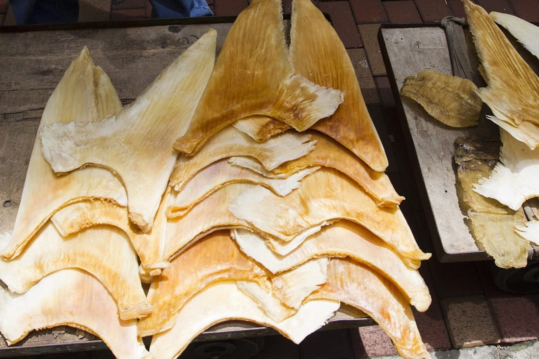 The Marine Stewardship Council certifies only two fisheries producing shark fin as sustainable. Photo: EPA