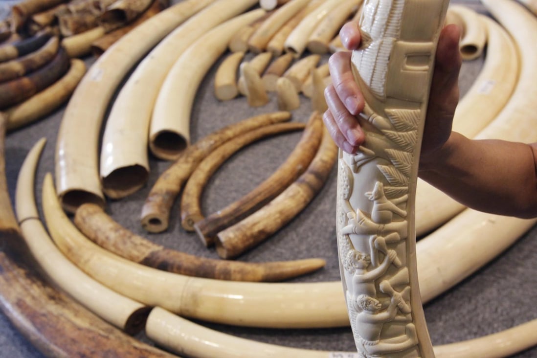 The ivory tusks were found in three containers, wrapped up and hidden beneath bags of soya beans. Photo: David Wong