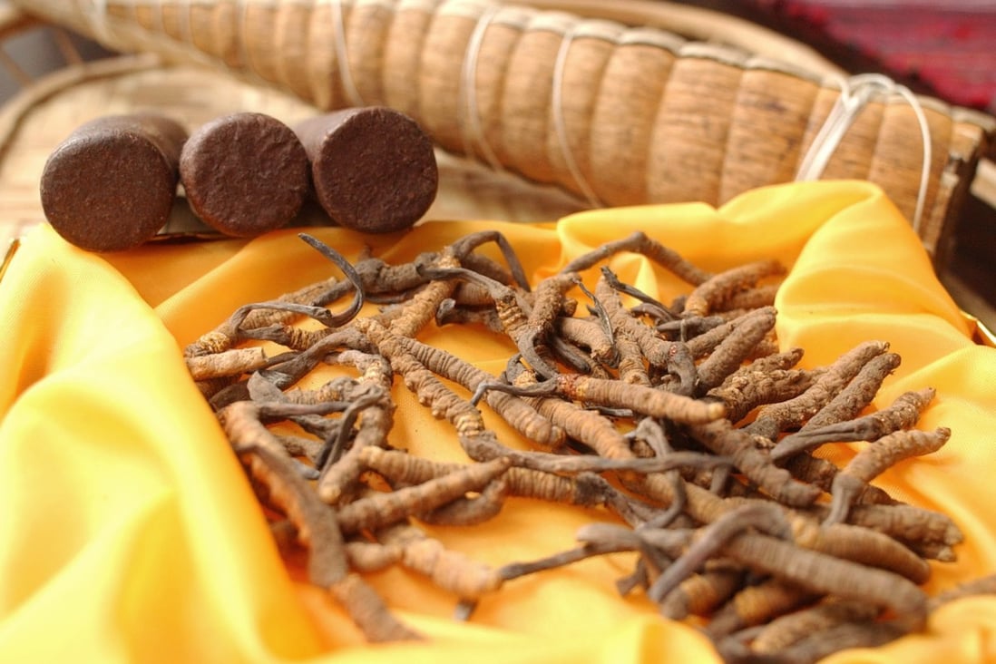 Cordyceps (foreground), a parasitic fungus that grows on, and eventually kills caterpillars, which is used as a performance enhancer in parts of China. Photo: AP