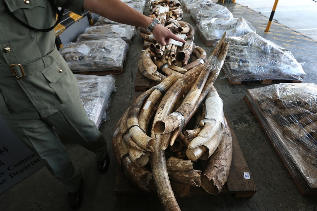 The smuggling ring illegally imported almost 12 tons of ivory worth HK$767 million. Photo: SCMP