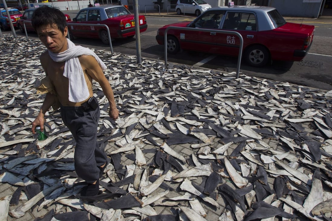 Beijing has banned shark fin and bird's nest soup at official banquets. Photo: EPA