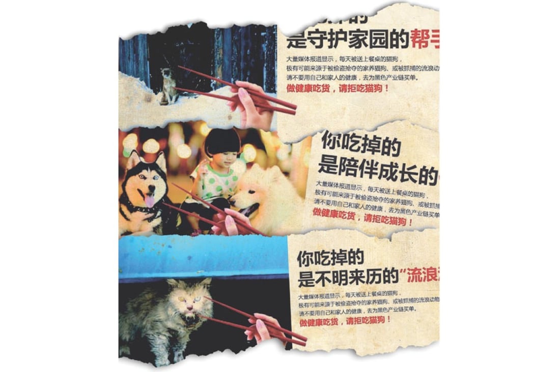 Dog and cat meat eaters hit back at animal rights group adverts | South  China Morning Post
