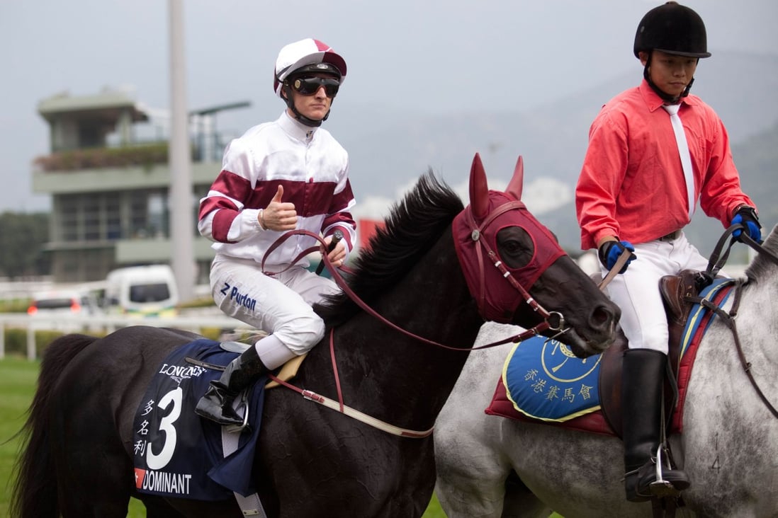 Zac Purton may have sounded confusing to non-racing people after his win on Dominant in the Hong Kong Vase, but what was he really trying to say? Photo: AFP
