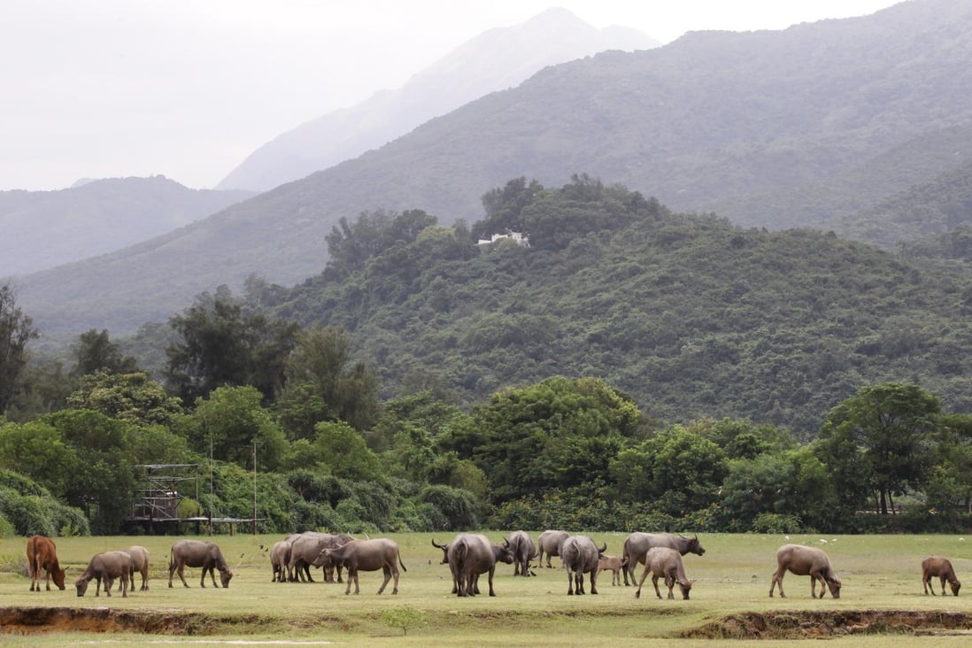 A property consultant says it would be better for the government to build theme parks on Lantau given the island's natural attractions and beaches. Photo: Edward Wong