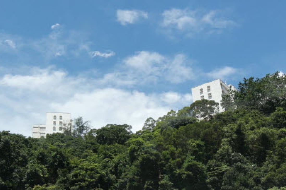 In 2010, Wharf (Holdings) and Nan Fung Development paid HK$10.4 billion for a site in Mount Nicholson Road on The Peak. Photo: Oliver Tsang