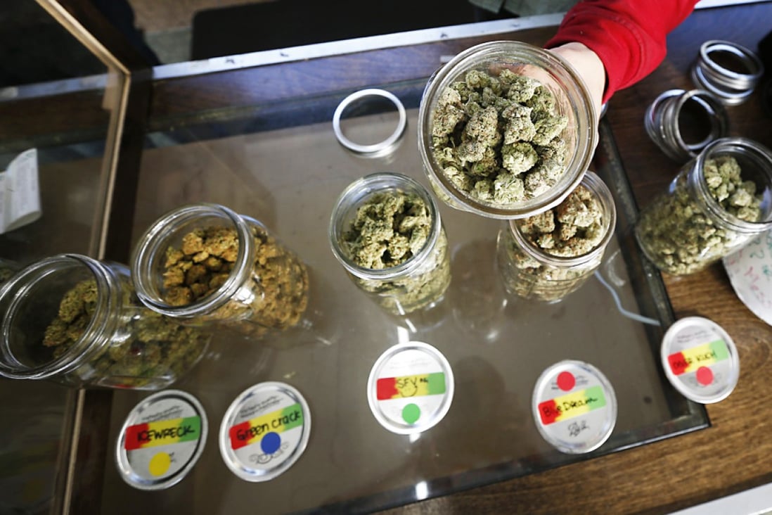 A volunteer displays jars of dried cannabis buds. Photo: Reuters