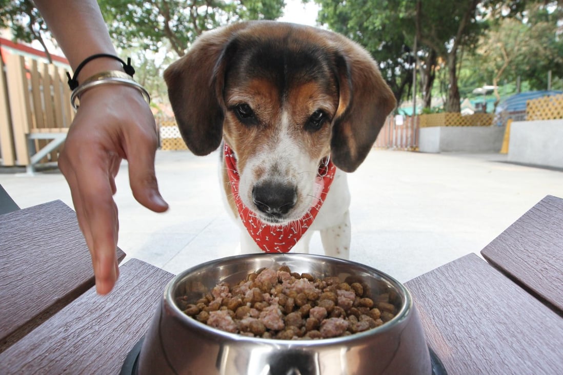 The biscuits that your pet dog loves could contain harmful substances. Photo: SCMP