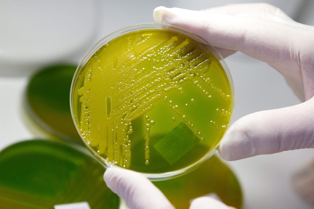 In China, treatment for Escherichia coli using antibiotics is now ineffective in as many as 70 per cent of patients.