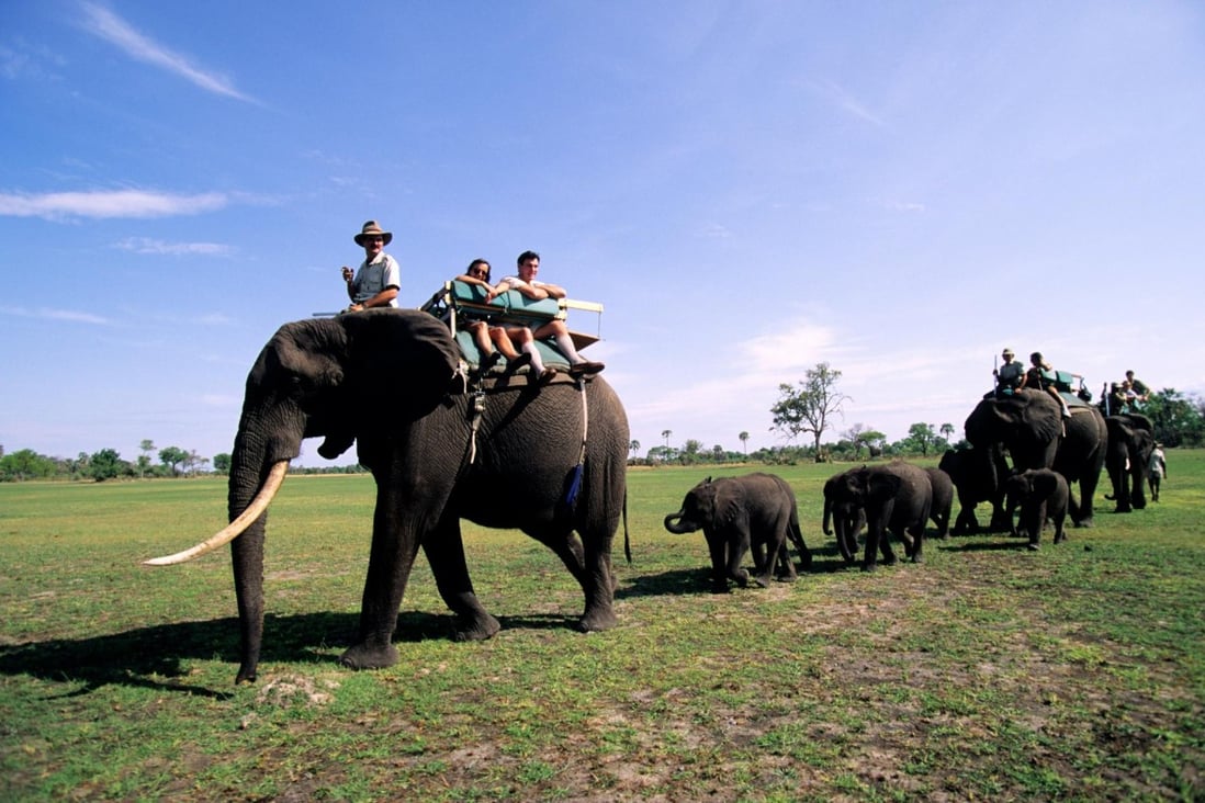 Hot spots: Abu Camp, Botswana | South China Morning Post