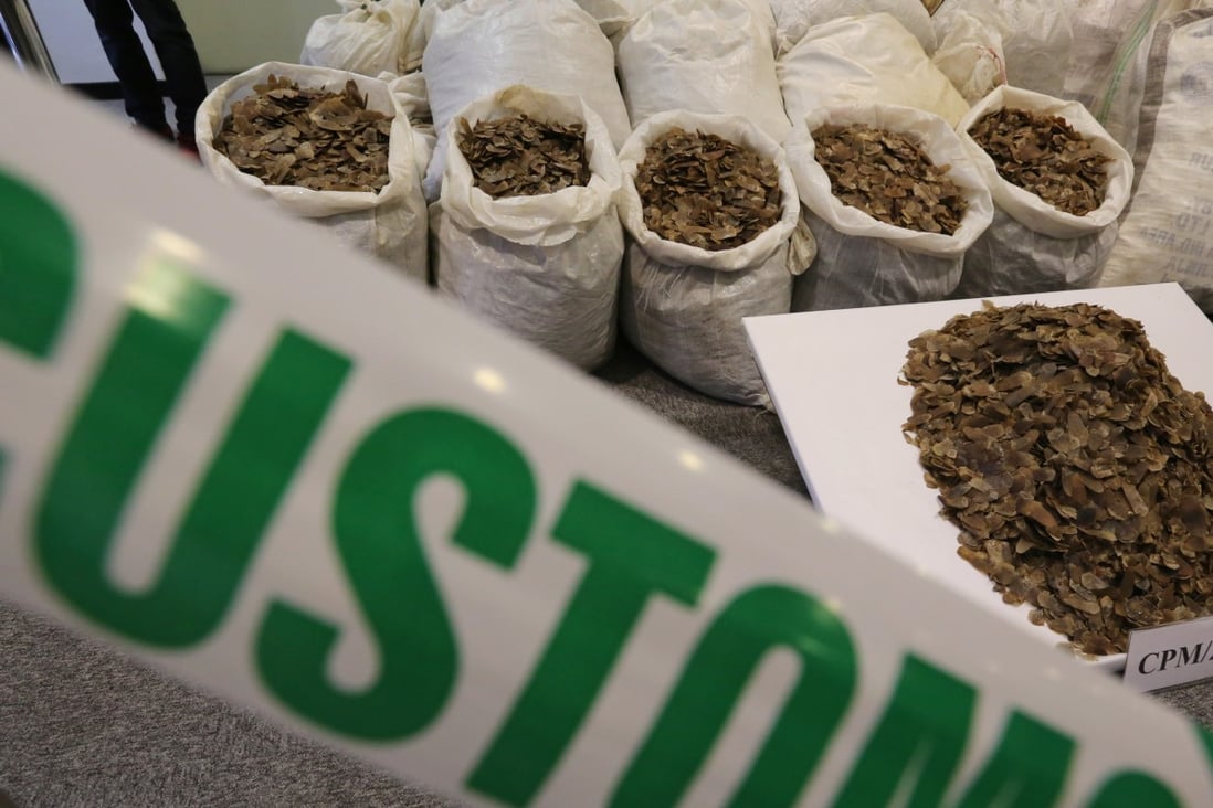 Hong Kong Customs seized about 2,340 kilograms of pangolin scales from a container at the Kwai Chung Customhouse Cargo Examination Compound.