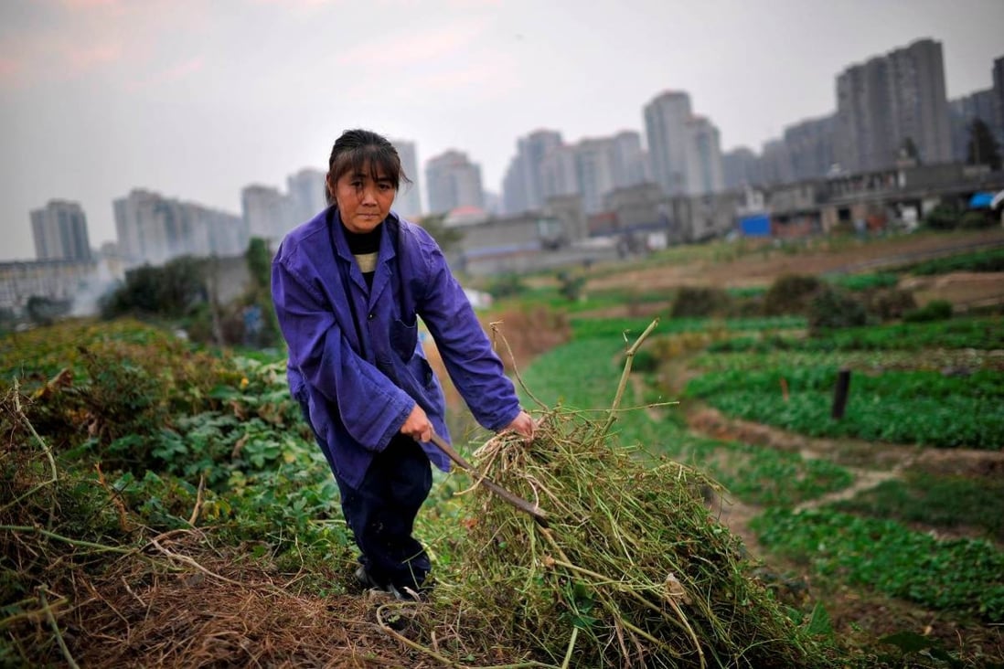 A farmer in Hefei, Anhui province. Sinofert's expected profit decrease "is mainly attributable to the impact of the overall operating market environment of the fertiliser industry", the company said. Photo: Reuters