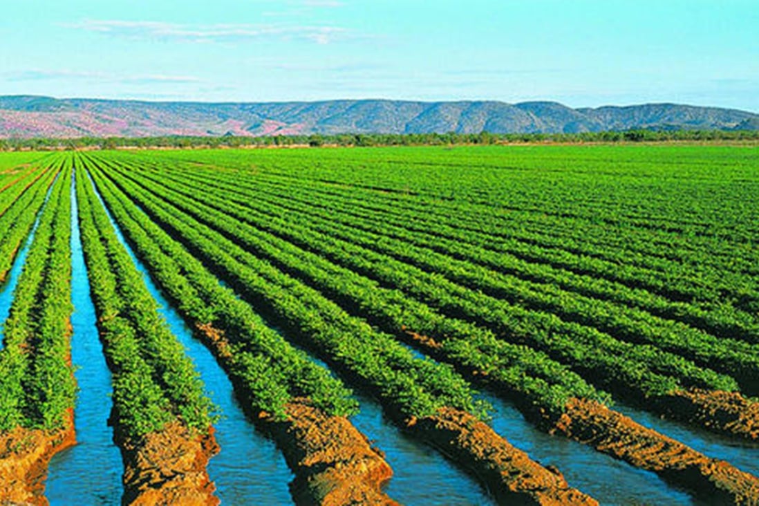The government says crops grown in northern Australia could help feed Asia. Photo: Western Australian Agriculture Authority