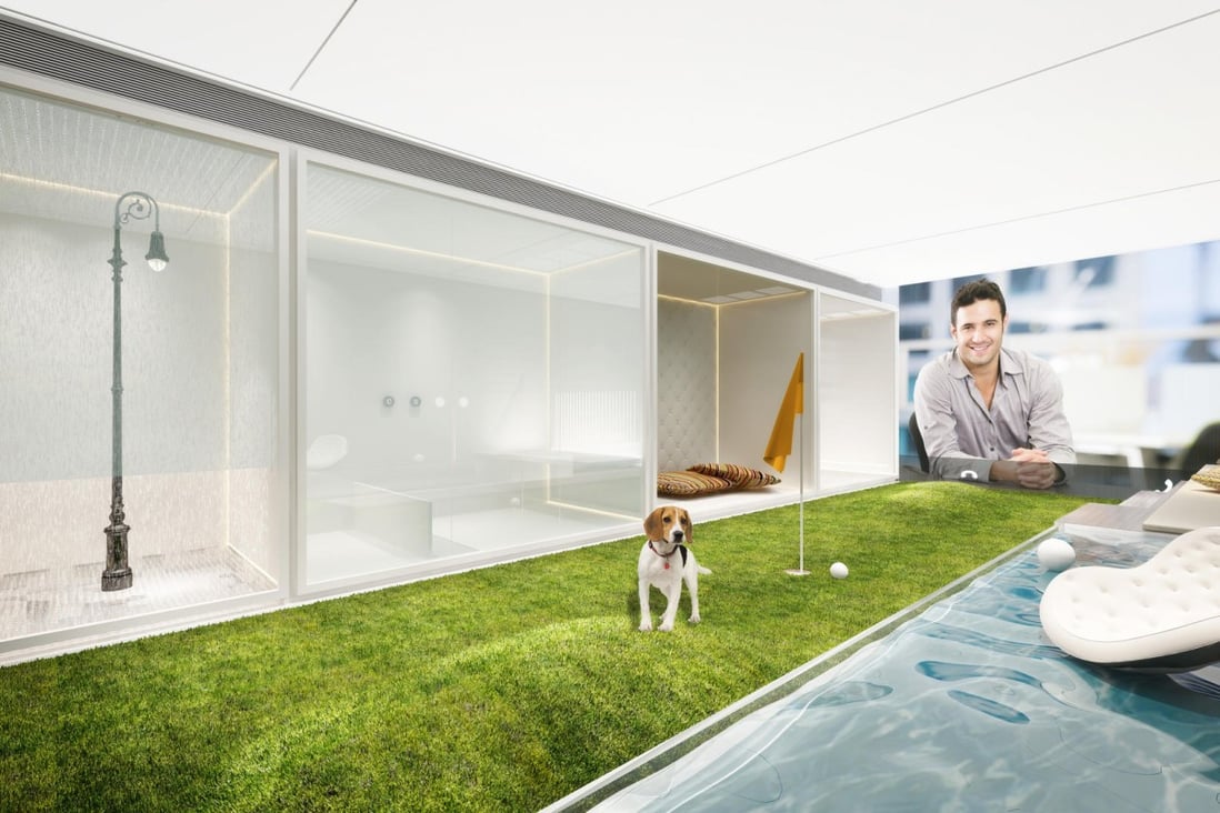 the ultimate luxury dog paradise for hk 15 5 million south china morning post