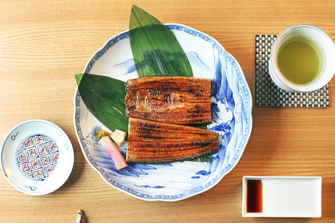 Japan agrees to buy fewer eels from neighbours in bid to protect species South China Morning Post