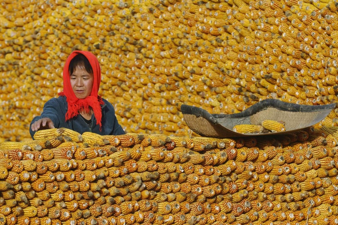 Given the increasing reliance on women to produce crops, never have women's land rights in China been more important. Photo: Reuters