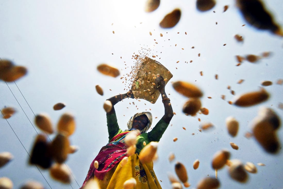 A woman sifts wheat on the outskirts of the Indian city of Hyderabad. Air pollution is impacting crop yields, a study has found. Photo: Reuters