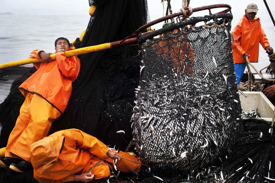 Fishermen work to unload a net full of anchovies during a fishing expedition in the Pacific Ocean. Photo: AP