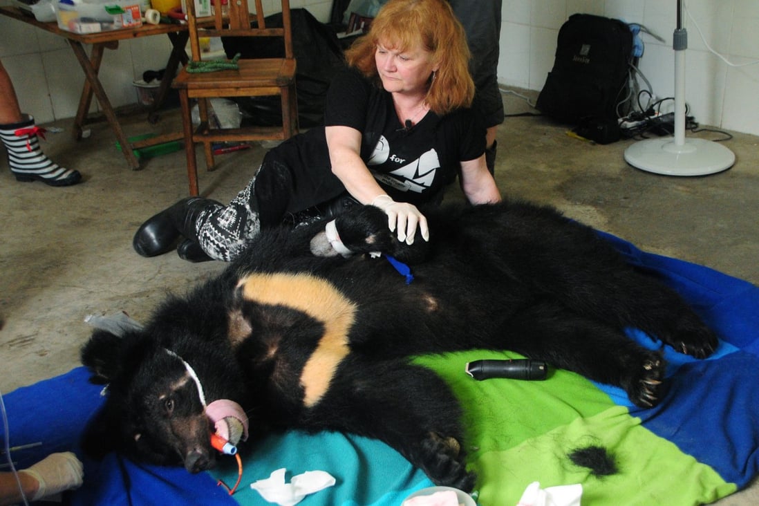 Actress Lesley Nicol helps treat a sick rescued bear in Nanning in June. Photo: SMP