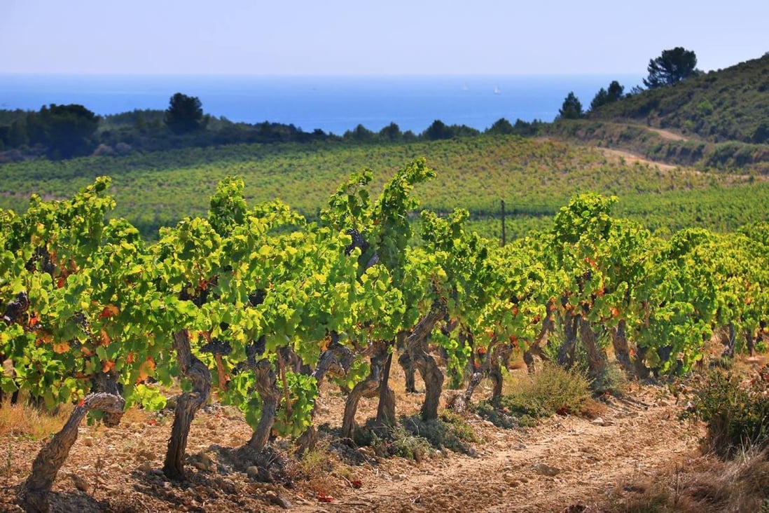 Languedoc has long lacked respect, but some impressive biodynamic wines by Gérard Bertrand are set to revamp its image.