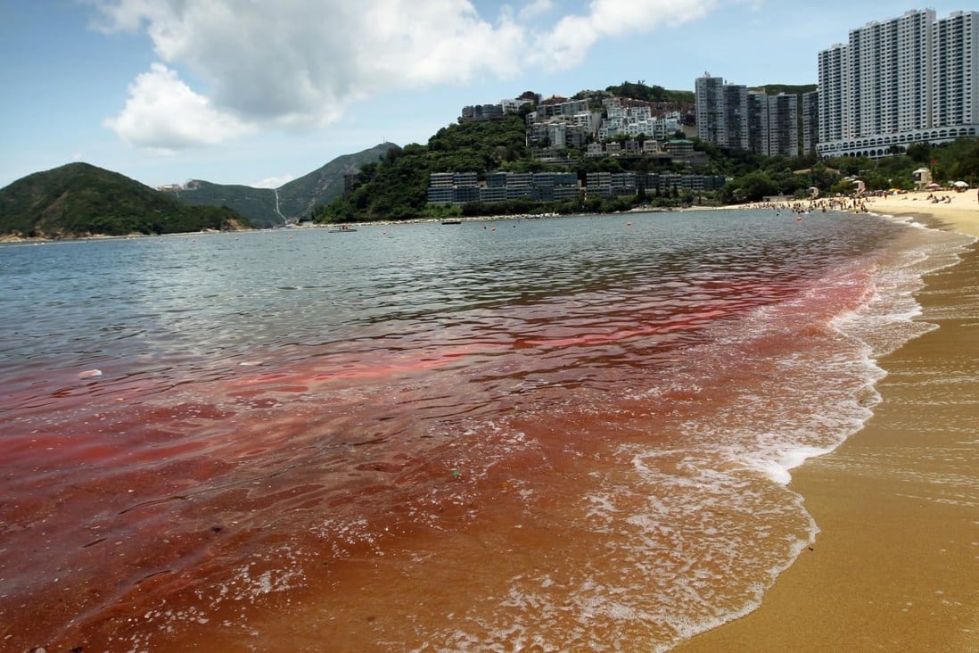 Hong Kong's algal blooms red alerts from nature South China Morning