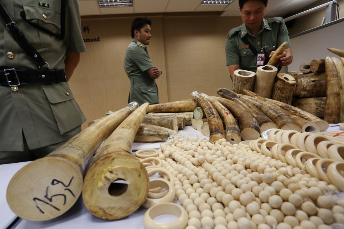 Customs officials at Chek Lap Kok airport with some of the HK$7.9 million worth of illegal ivory that was seized from 16 Vietnamese passengers on June 10. The ivory was hidden in luggage on a flight heading for Cambodia. Photos: Corbis; Nora Tam; AFP