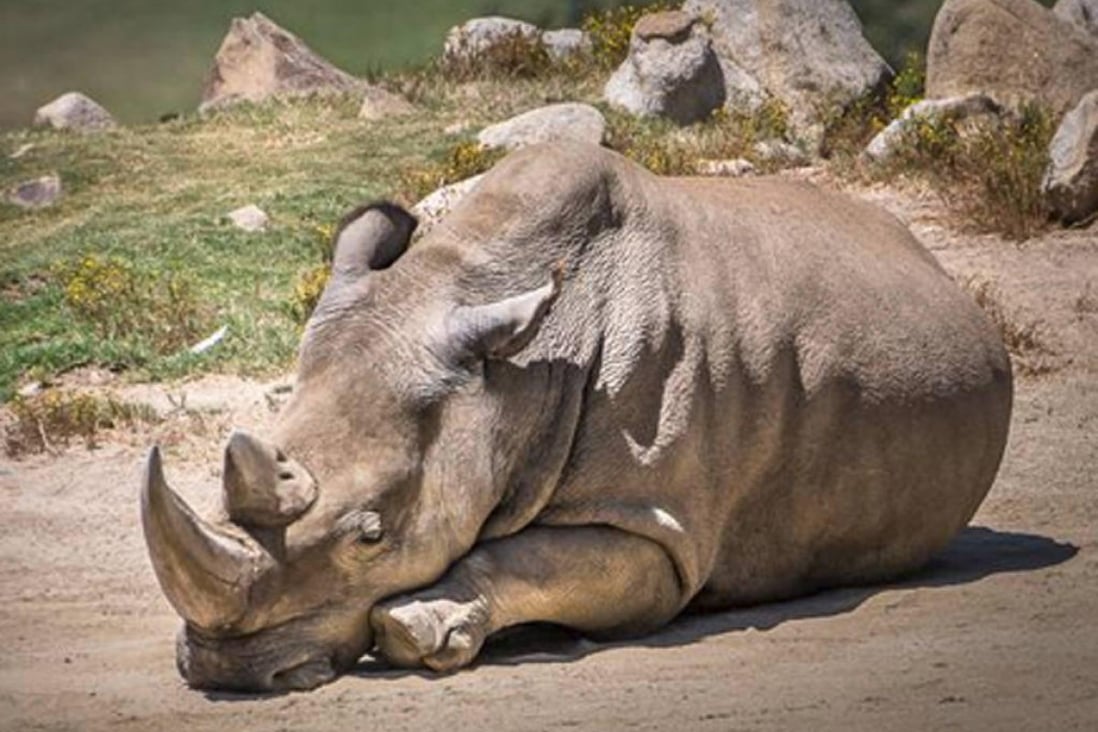 Angalifu died aged about 44 at San Diego Zoo Safari Park.