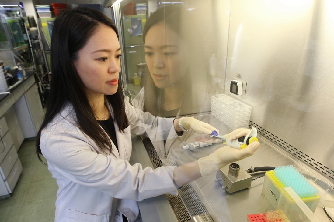 Dr Cathy Lui works on a possible cure for brain diseases at Baptist University. Photo: Edward Wong